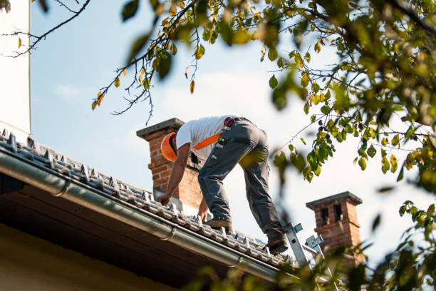 Best Roof Insulation Installation  in Georgetown, CA